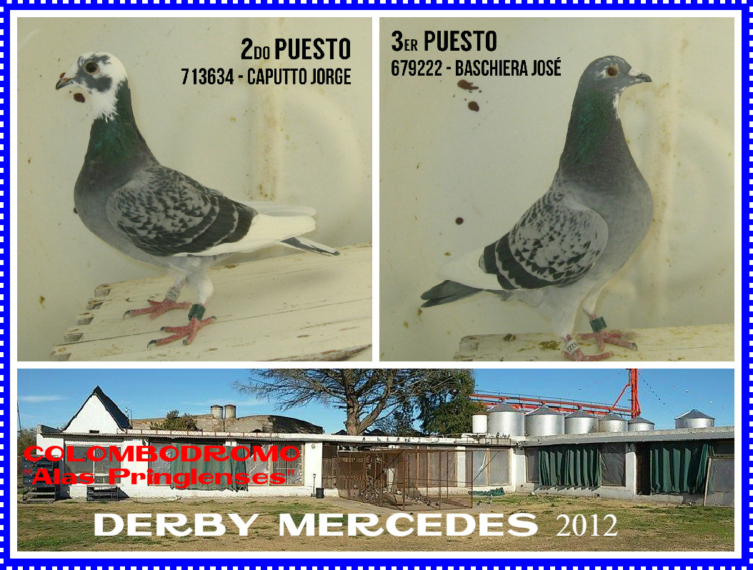 palom2y3derby12
